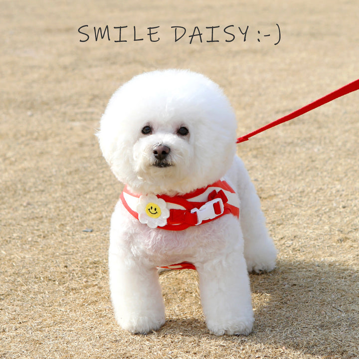※予約販売【ITS DOG】Smile Daisy Harness（Red）｜犬用ハーネス