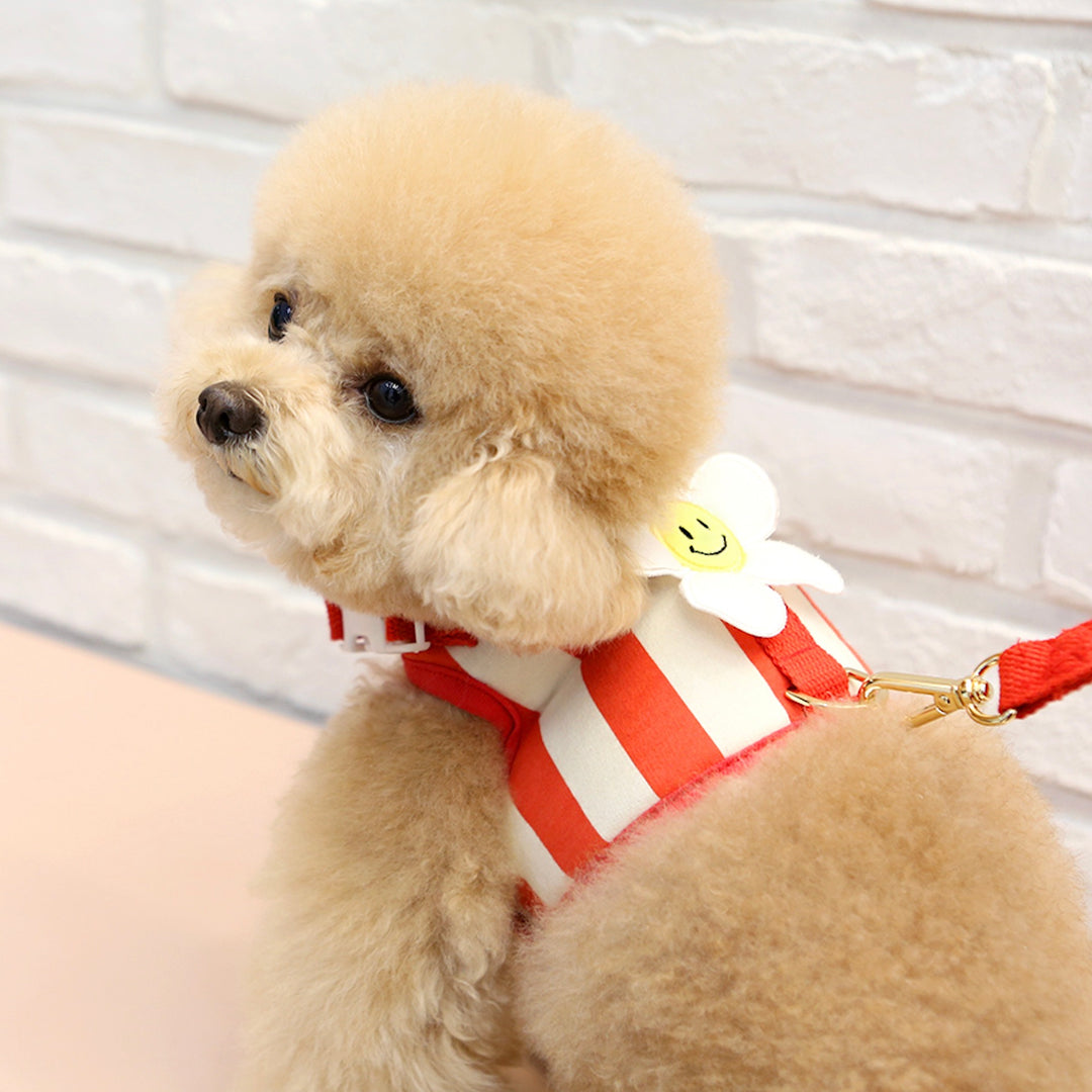 ※予約販売【ITS DOG】Smile Daisy Harness（Red）｜犬用ハーネス