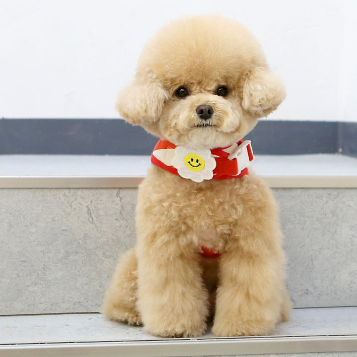 ※予約販売【ITS DOG】Smile Daisy Harness（Red）｜犬用ハーネス
