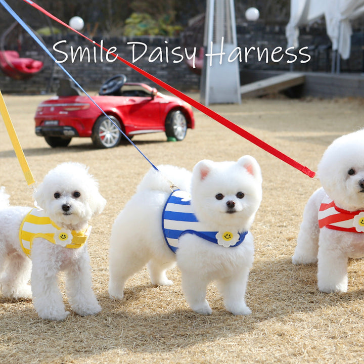 ※予約販売【ITS DOG】Smile Daisy Harness（Blue）｜犬用ハーネス