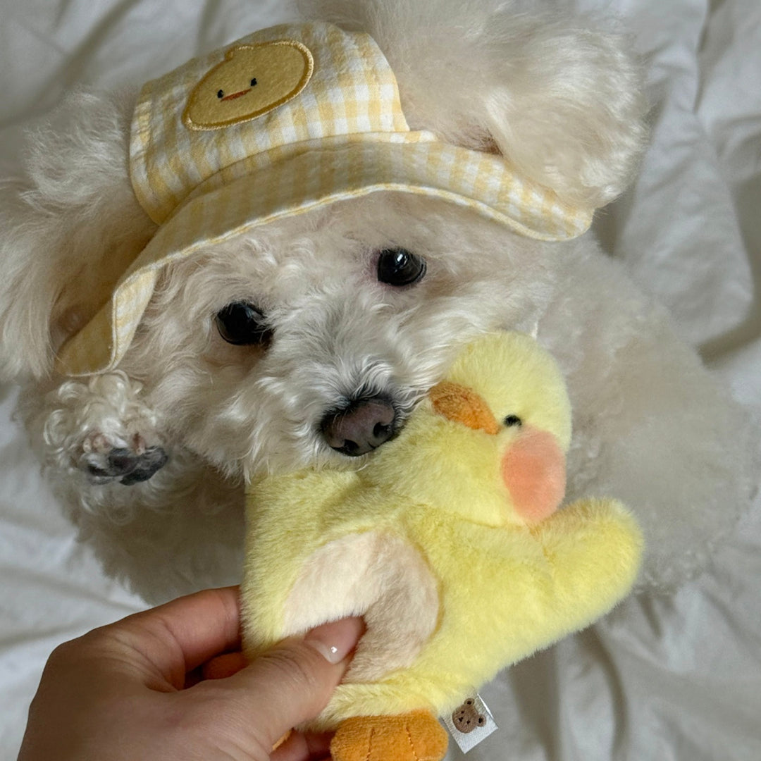 ※予約販売【meaningless】DoDo Bloomer Hat