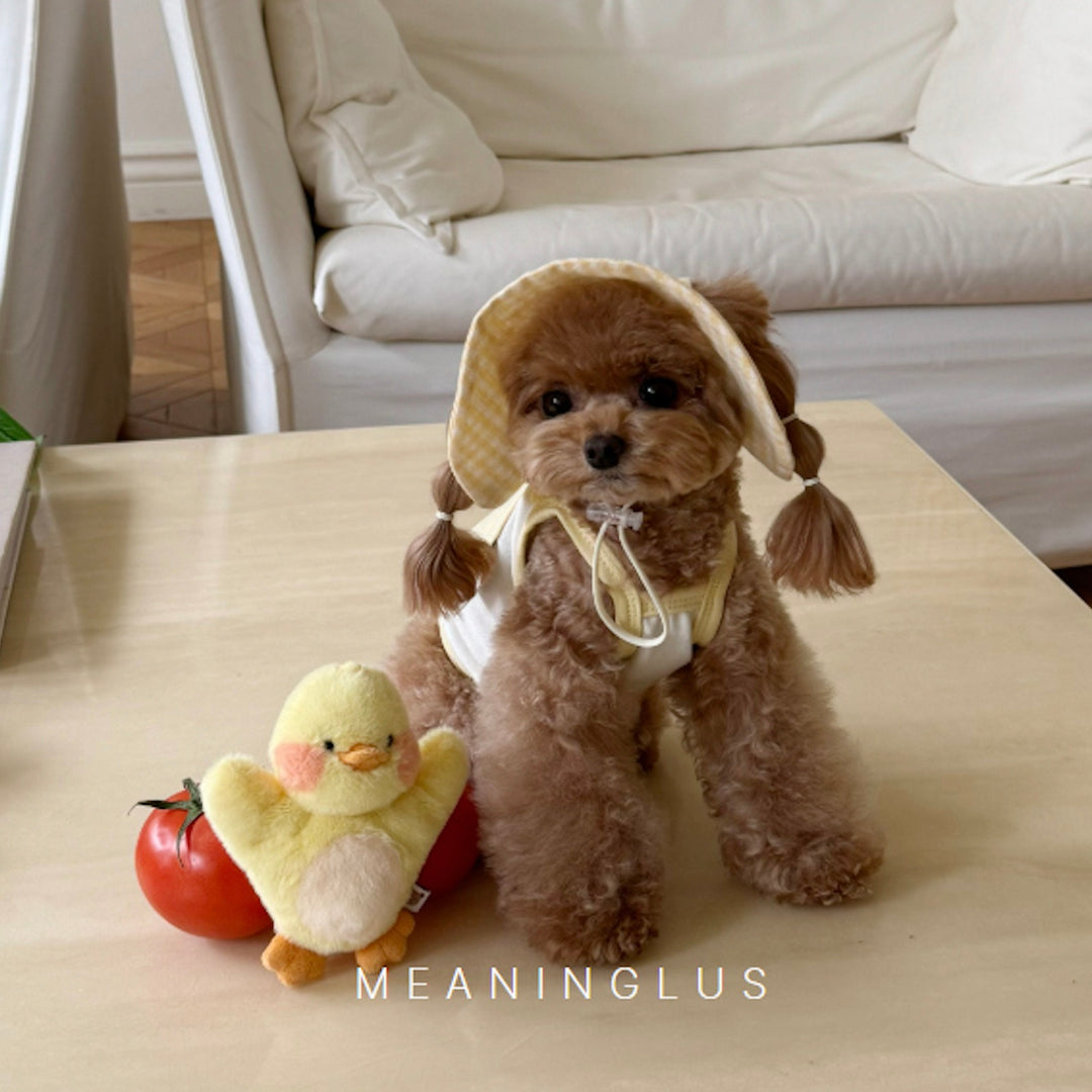 ※予約販売【meaningless】DoDo Crop