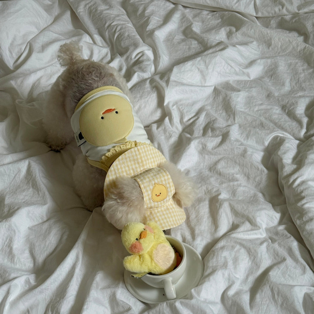 ※予約販売【meaningless】DoDo Crop