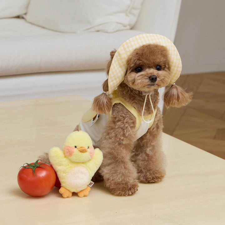 ※予約販売【meaningless】DoDo Crop