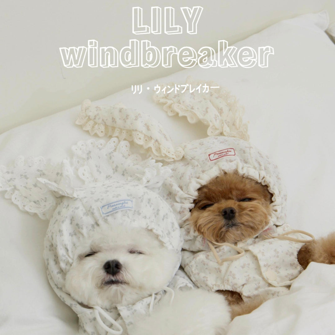 ※予約販売【meaningless】Lily Windbreaker