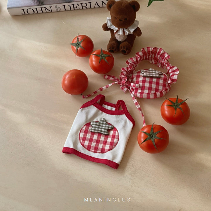 ※予約販売【meaningless】Tomato Bag