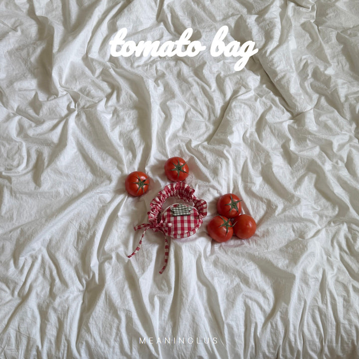 ※予約販売【meaningless】Tomato Bag