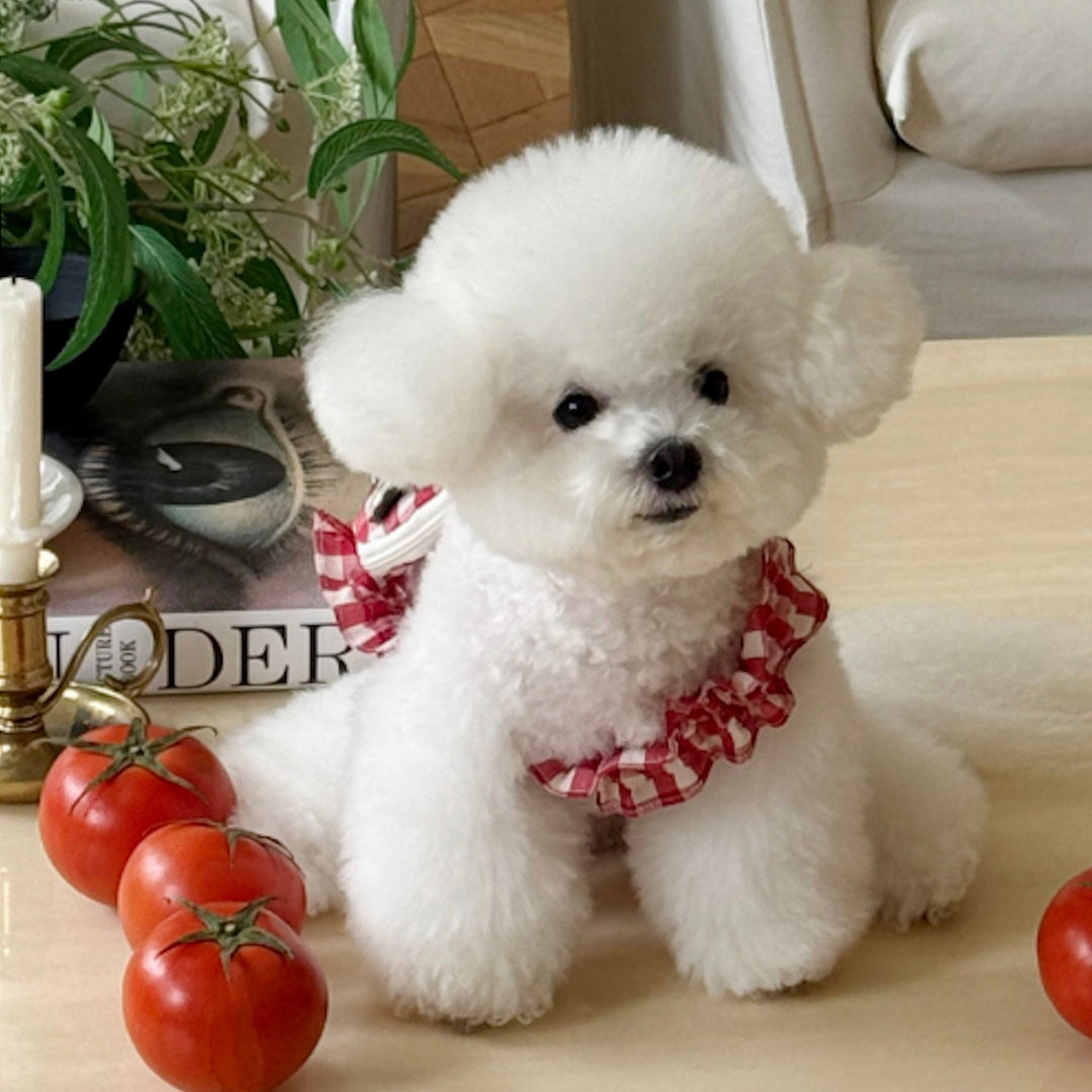 ※予約販売【meaningless】Tomato Bag