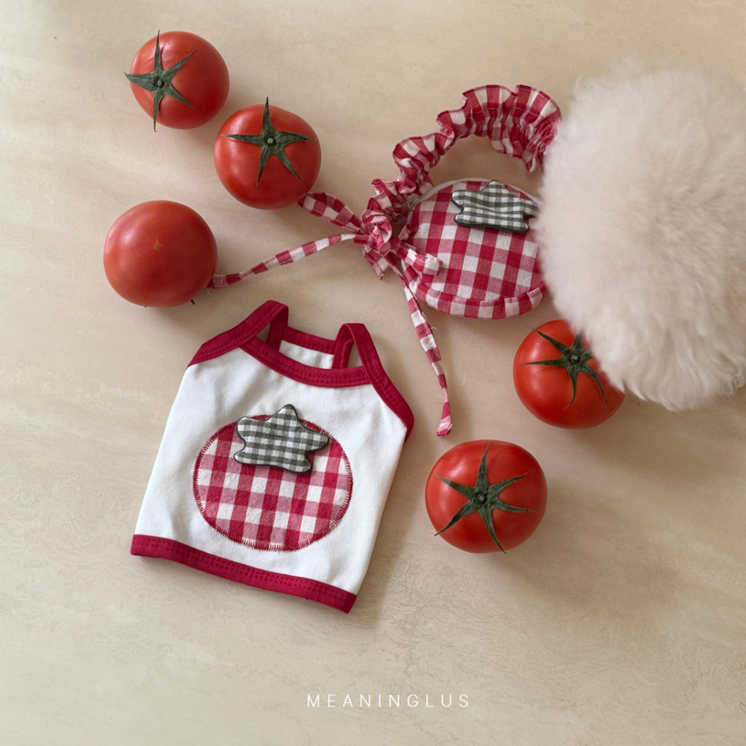 ※予約販売【meaningless】Tomato Bag