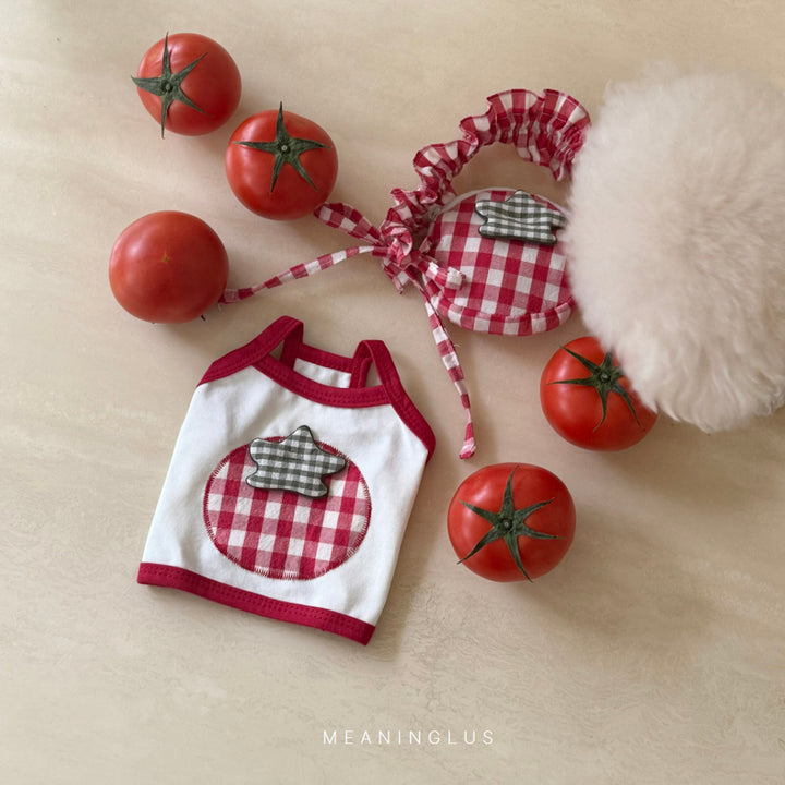 ※予約販売【meaningless】Tomato Bag