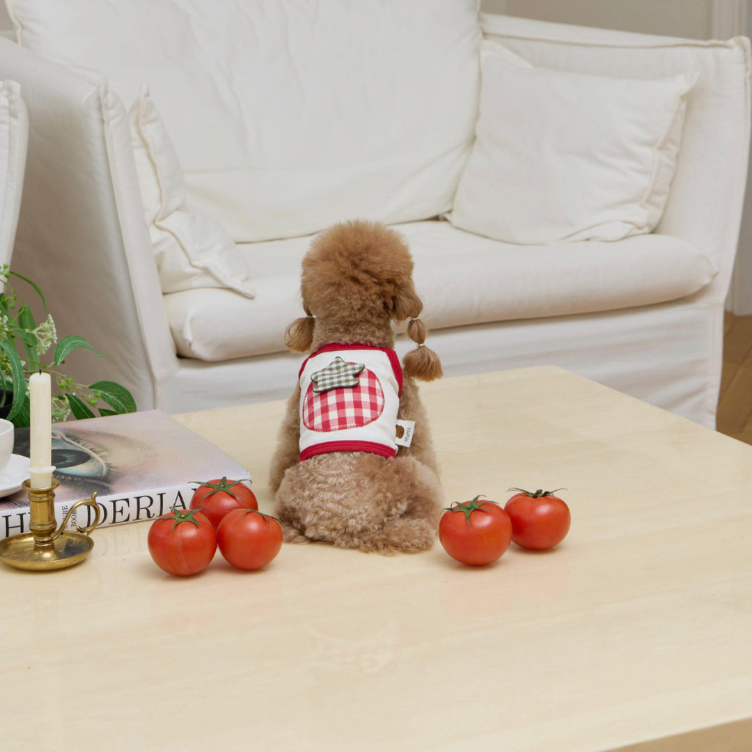 ※予約販売【meaningless】Tomato Crop