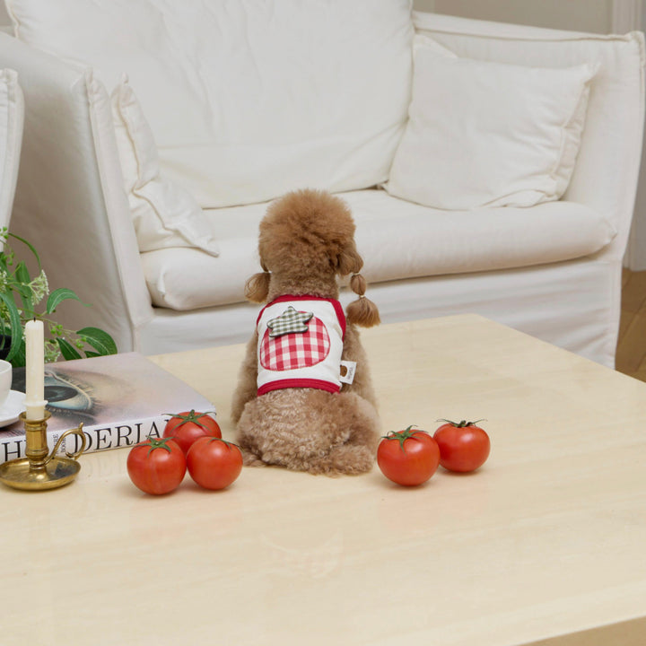 ※予約販売【meaningless】Tomato Crop