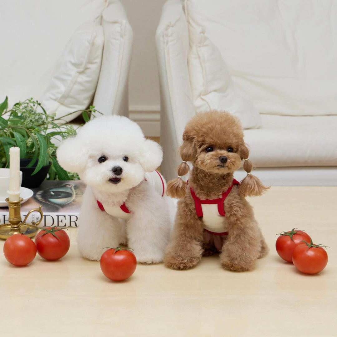 ※予約販売【meaningless】Tomato Crop