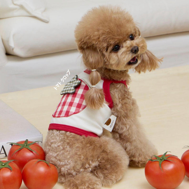 ※予約販売【meaningless】Tomato Crop