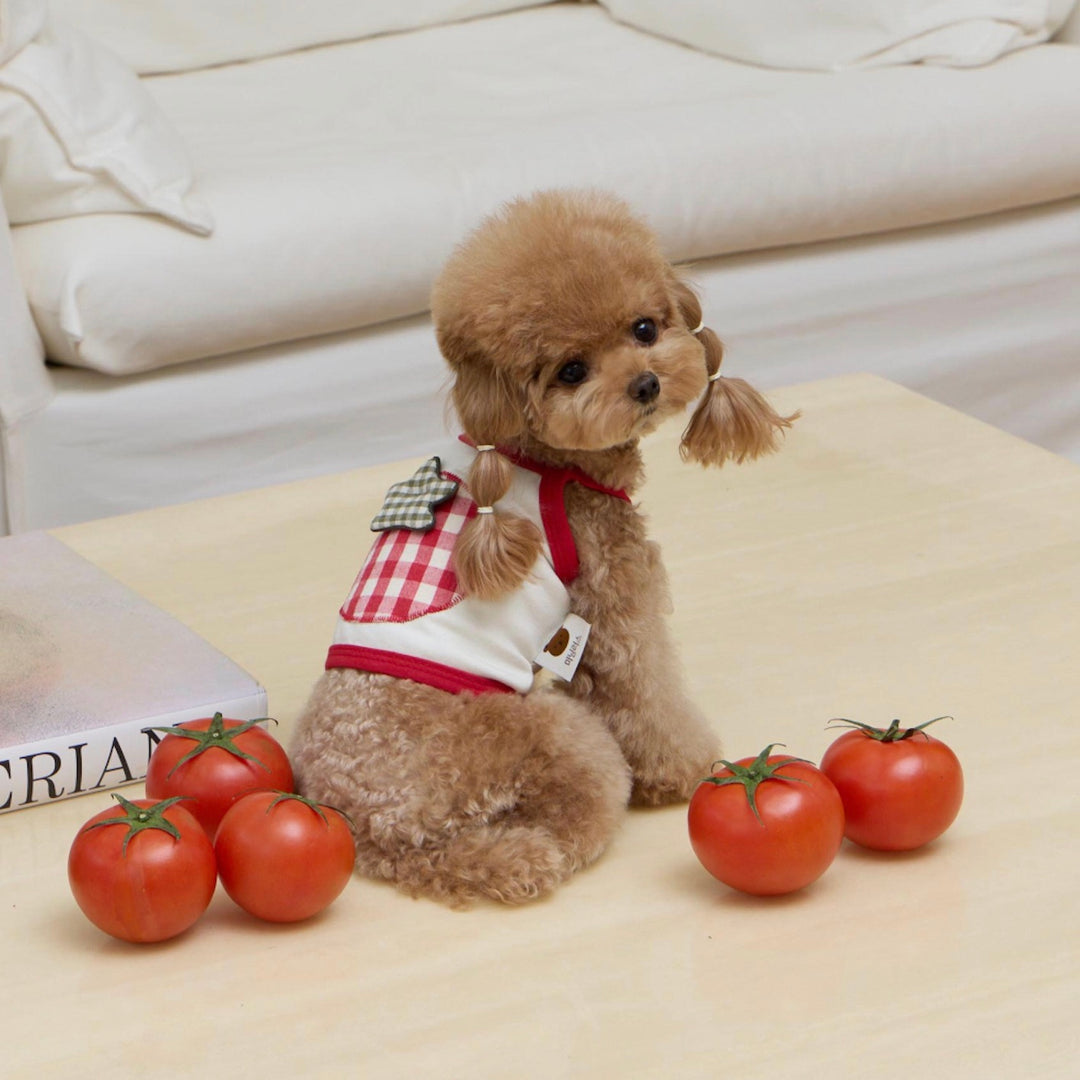 ※予約販売【meaningless】Tomato Crop
