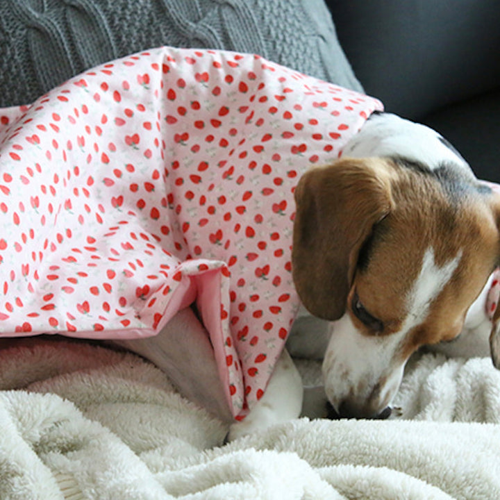 ※予約販売【OOPS! MY DOG】Berry Berry Basket