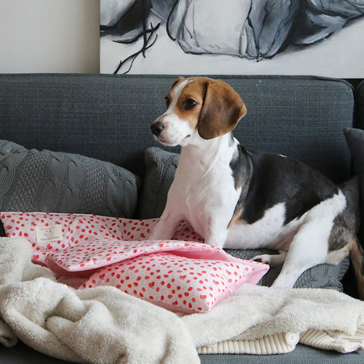 ※予約販売【OOPS! MY DOG】Berry Berry Duvet