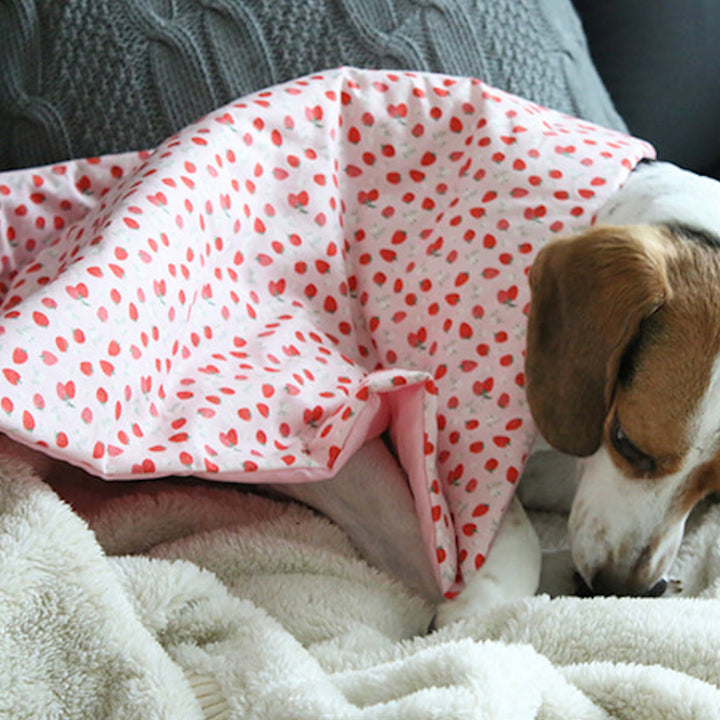 ※予約販売【OOPS! MY DOG】Berry Berry Duvet