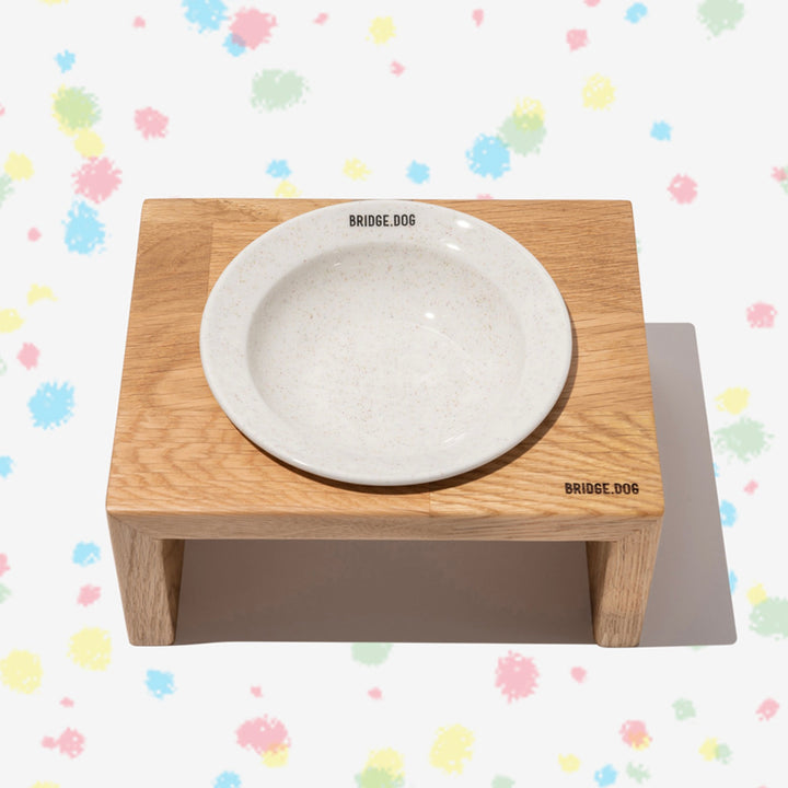 ※予約販売【BRIDGE.DOG】BRIDGE MINI DISH（COLOR POP）艶あり