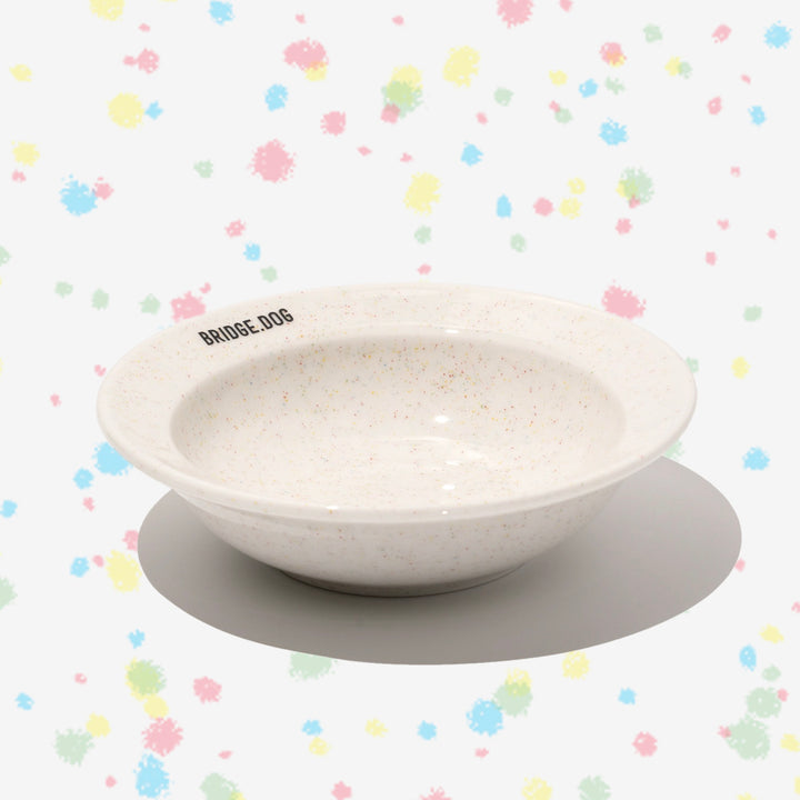※予約販売【BRIDGE.DOG】BRIDGE MINI DISH（COLOR POP）艶あり