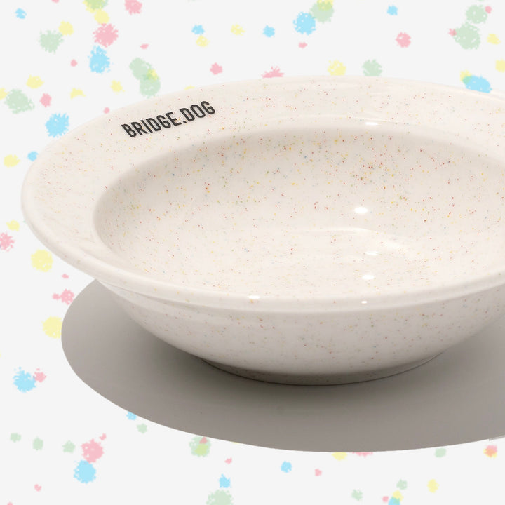 ※予約販売【BRIDGE.DOG】BRIDGE MINI DISH（COLOR POP）艶あり