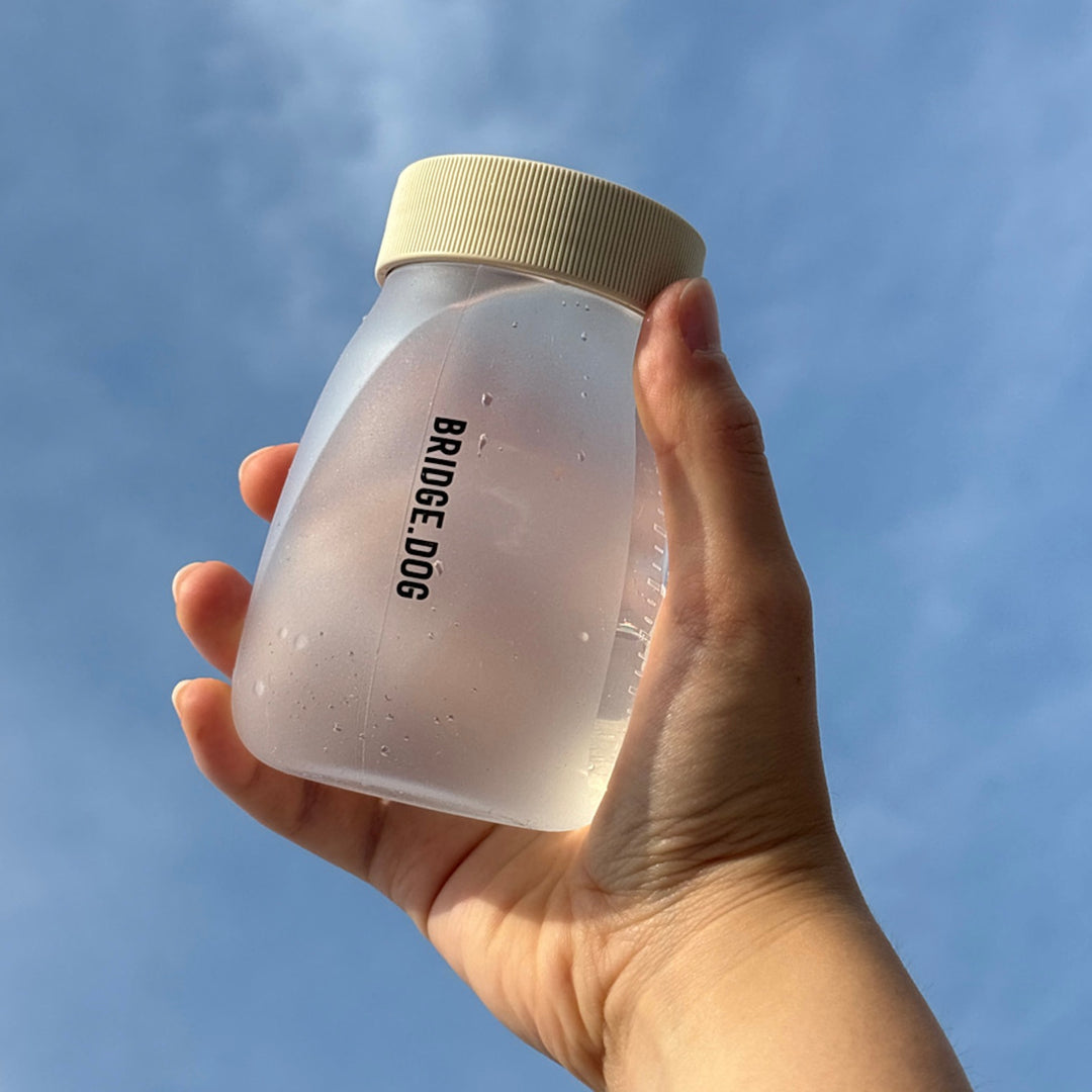 ※予約販売【BRIDGE.DOG】DENG BOTTLE
