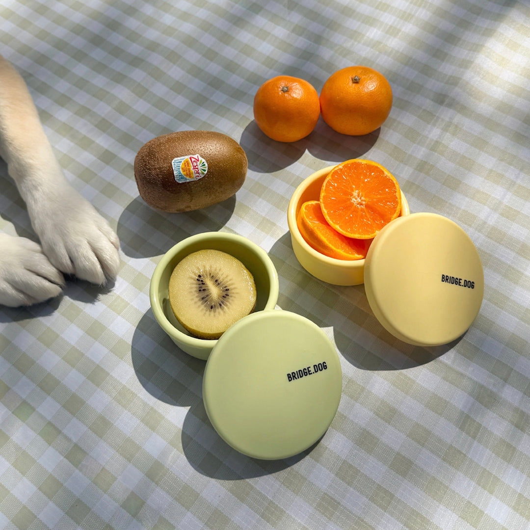 即納【BRIDGE.DOG】DOG SI RAK - SNACK BOWL（GREEN / YELLOW）（100ml）