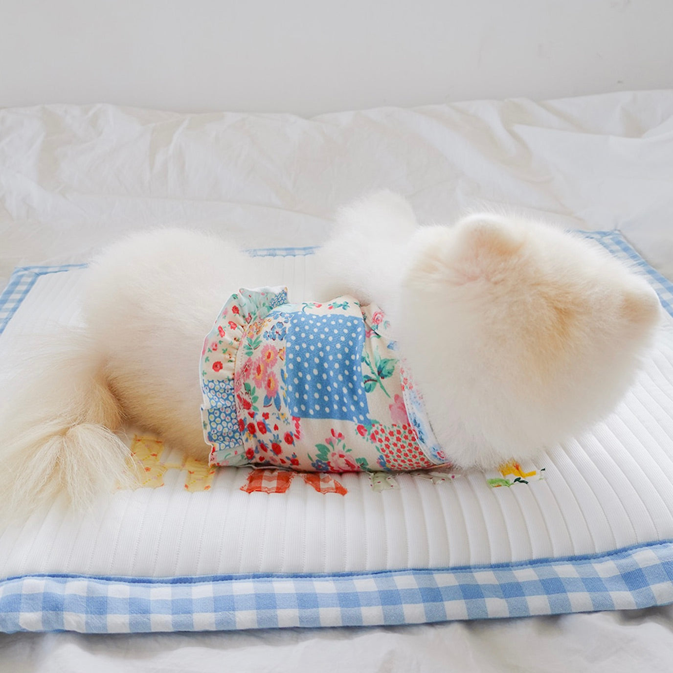 海外犬服 高品質なインポートのドッグウェア通販 