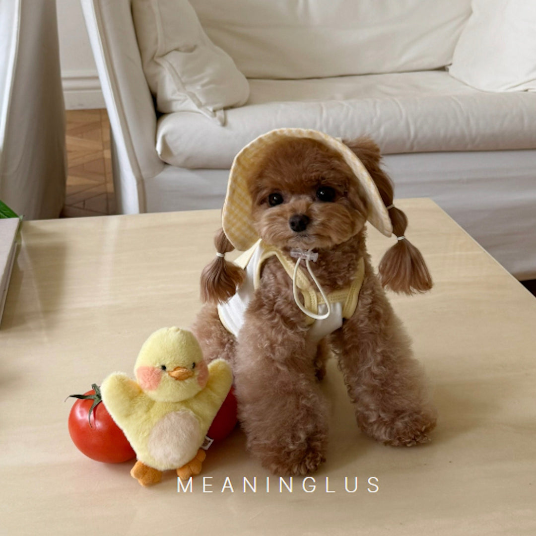 ※予約販売【meaningless】DoDo Plush Toy