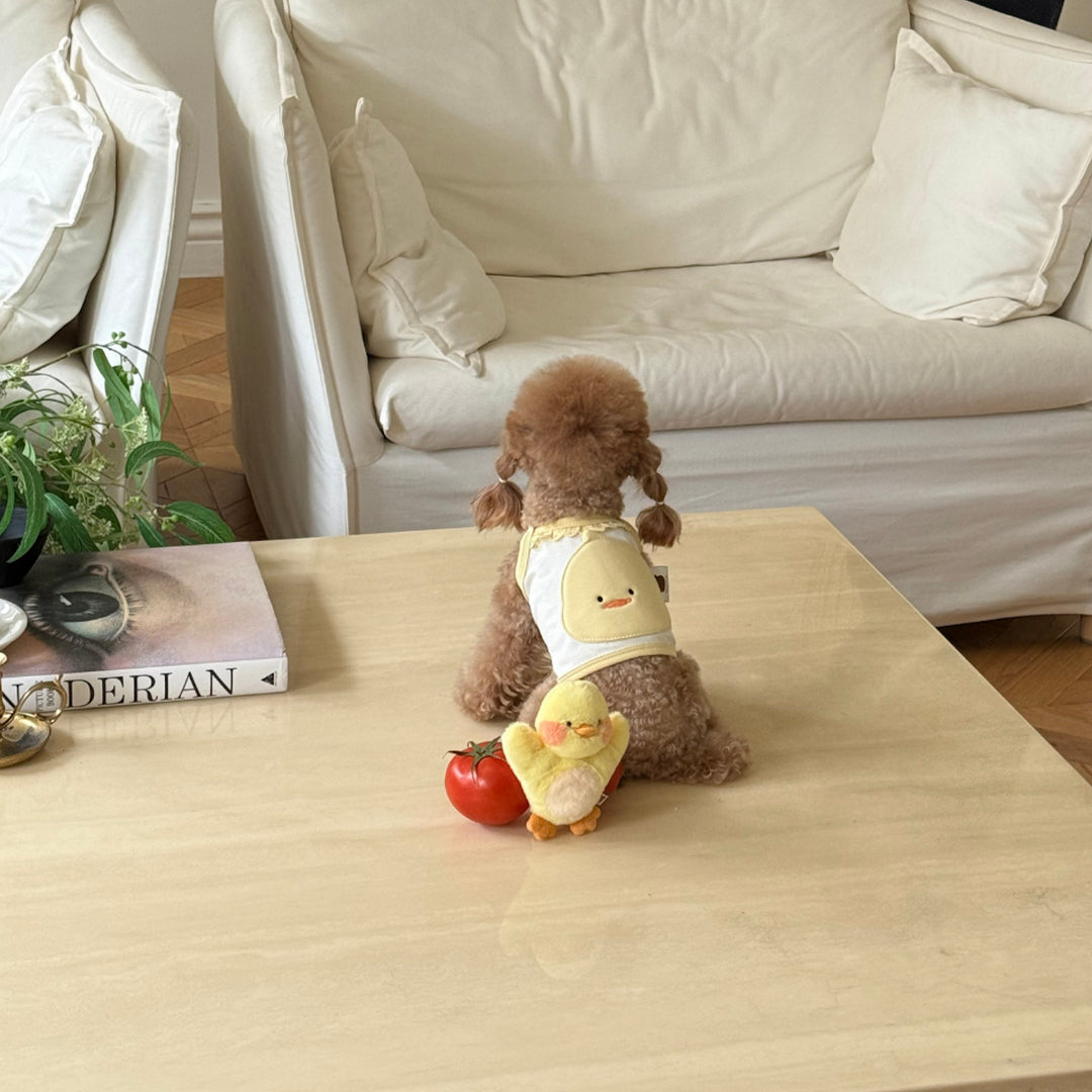 ※予約販売【meaningless】DoDo Plush Toy