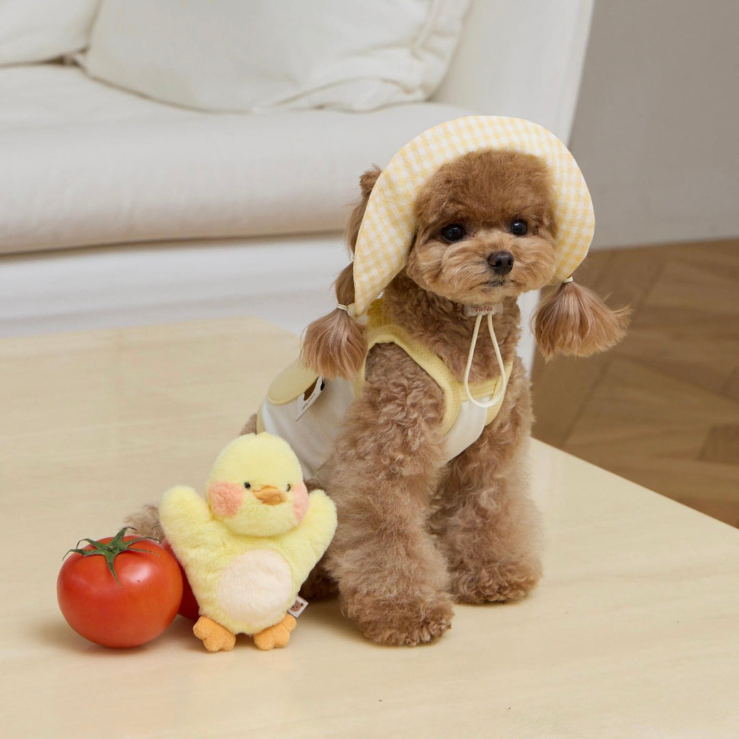 ※予約販売【meaningless】DoDo Plush Toy