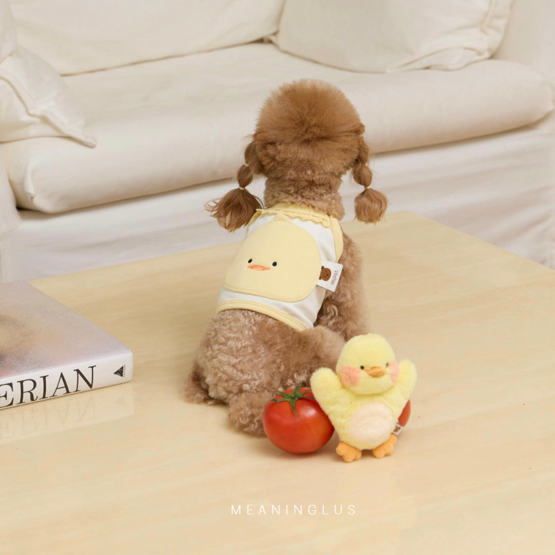 ※予約販売【meaningless】DoDo Plush Toy