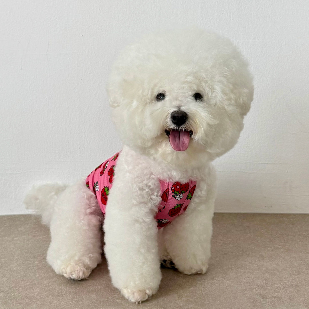 ※予約販売【CRR】Cutie Berry2 Cool Strap Top（Pink）