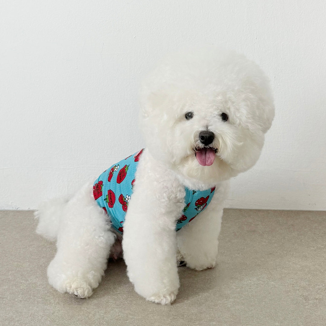 ※予約販売【CRR】Cutie Berry2 Cool Strap Top（Sky）