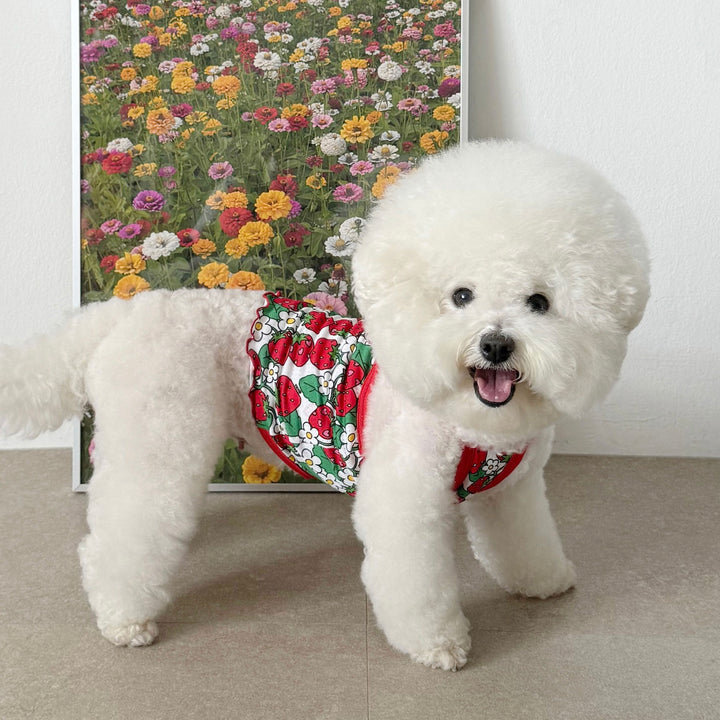 ※予約販売【CRR】Cutie Berry Cool Strap Top（Red）