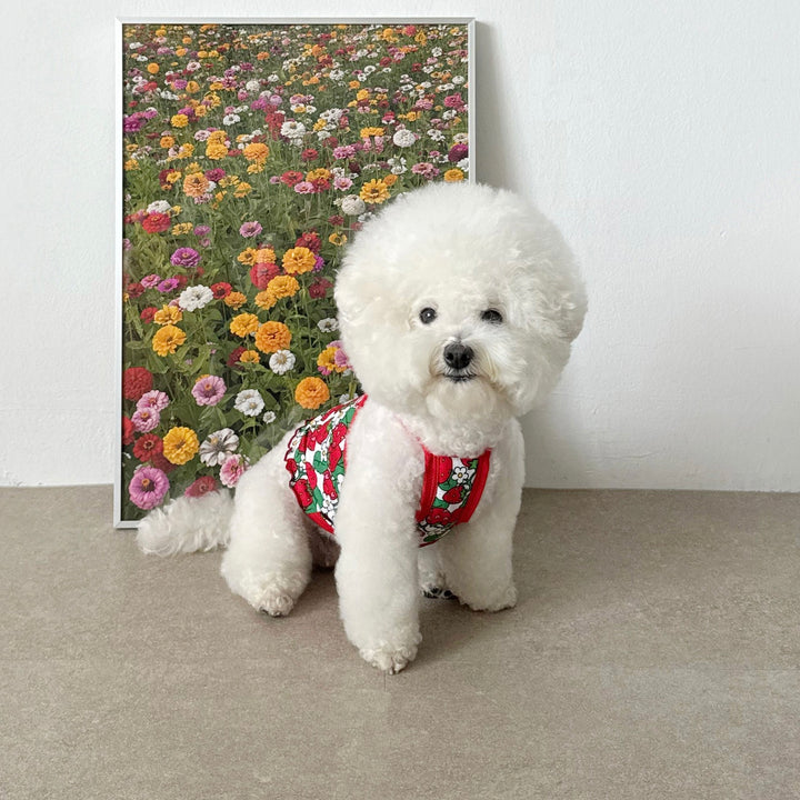 ※予約販売【CRR】Cutie Berry Cool Strap Top（Red）