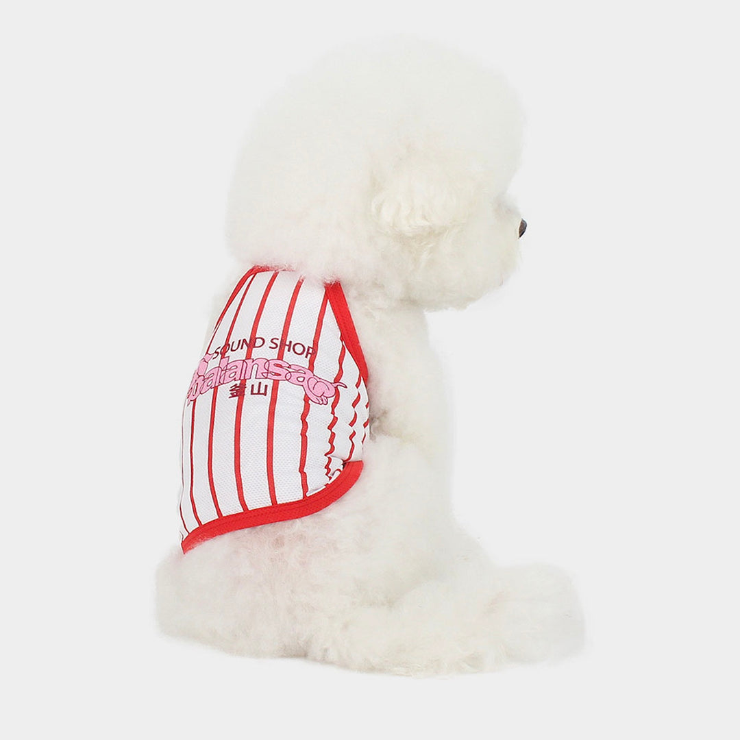※予約販売【CRR】Balansa Sporty Stripe Top（White）
