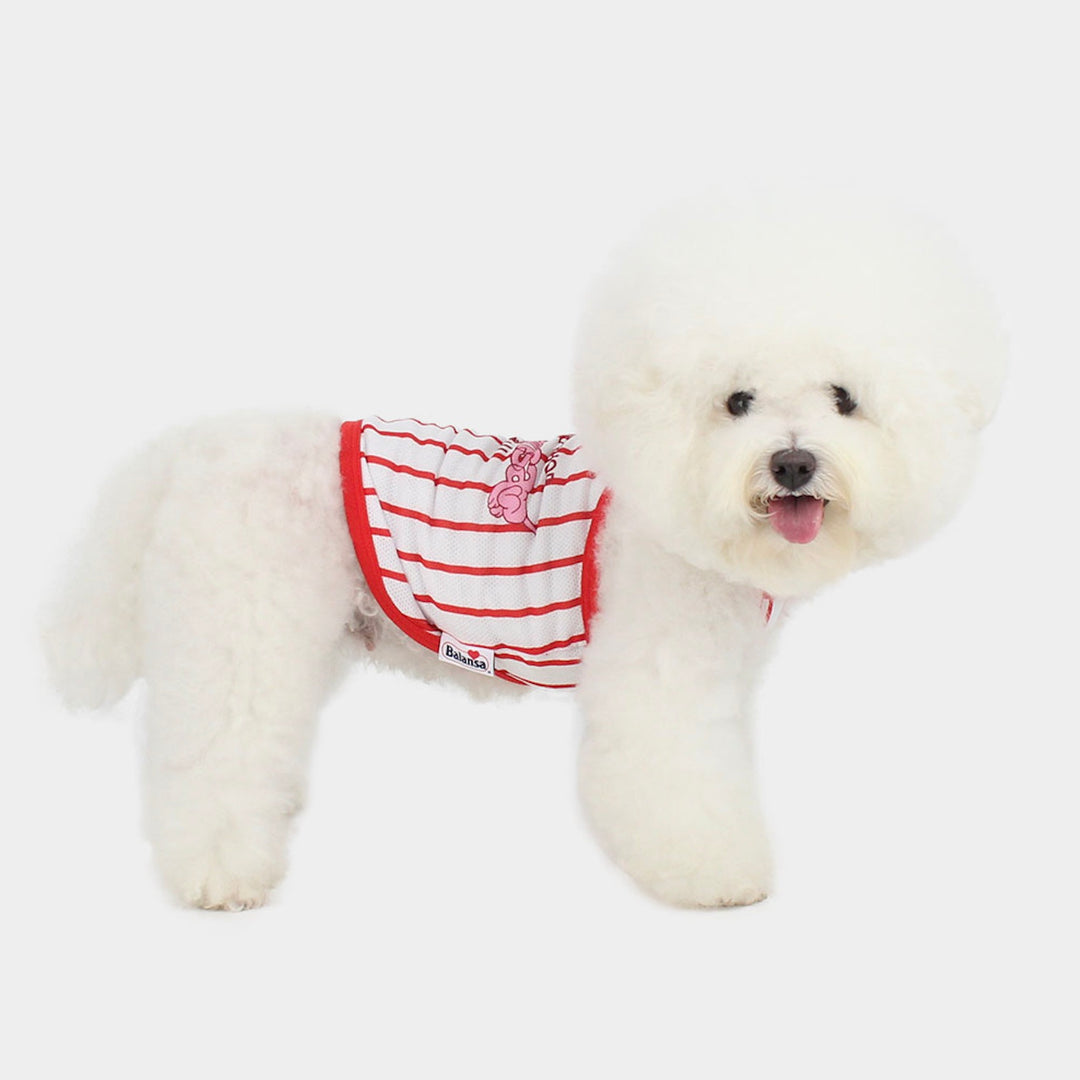 ※予約販売【CRR】Balansa Sporty Stripe Top（White）