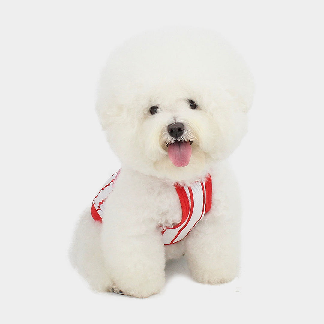 ※予約販売【CRR】Balansa Sporty Stripe Top（White）