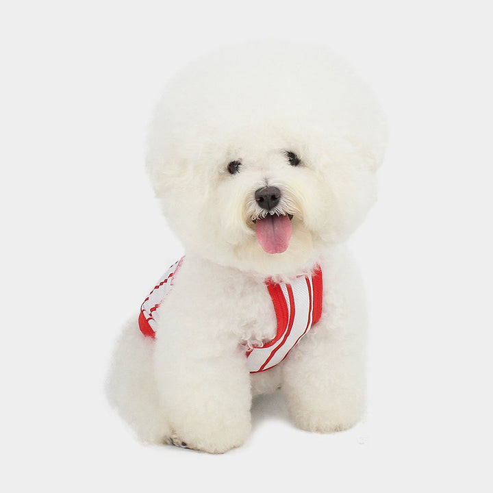 ※予約販売【CRR】Balansa Sporty Stripe Top（White）