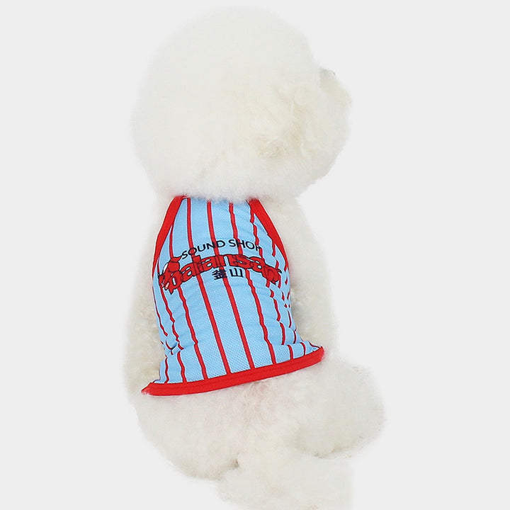 ※予約販売【CRR】Balansa Sporty Stripe Top（Sky）