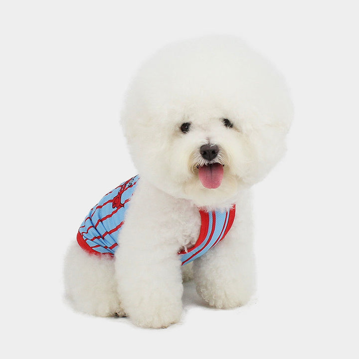 ※予約販売【CRR】Balansa Sporty Stripe Top（Sky）