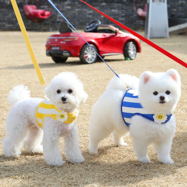 ※予約販売【ITS DOG】Smile Daisy Leash（3color）