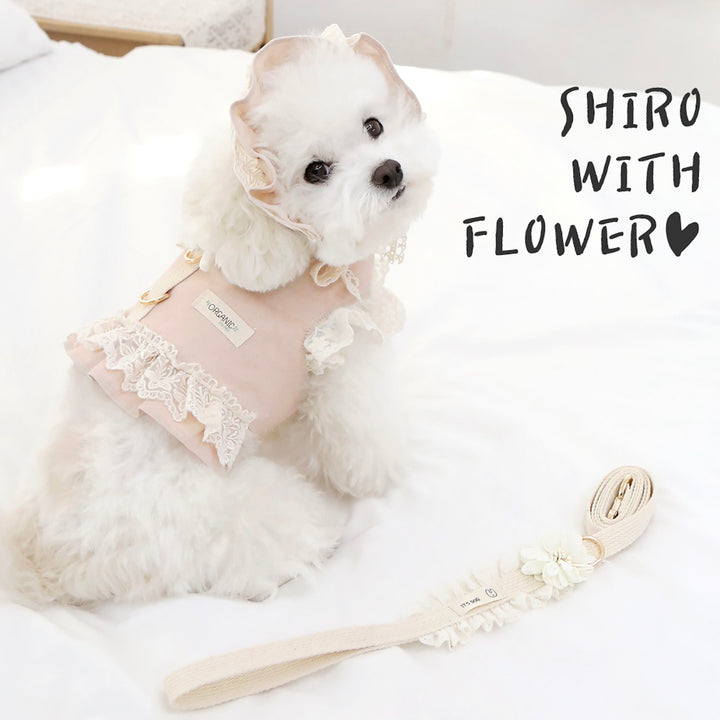 ※予約販売【ITS DOG】Flora Pure Cotton Leash