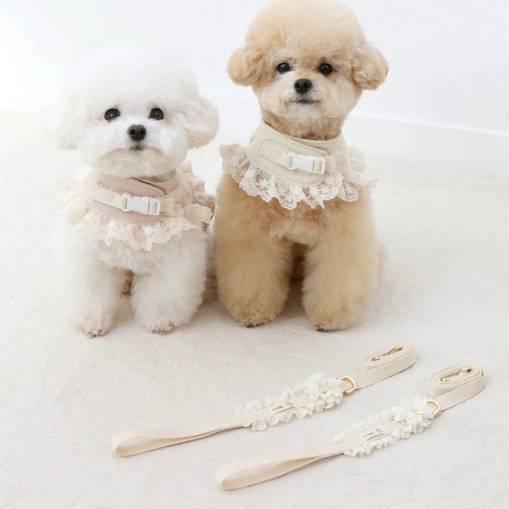 ※予約販売【ITS DOG】Flora Pure Cotton Leash
