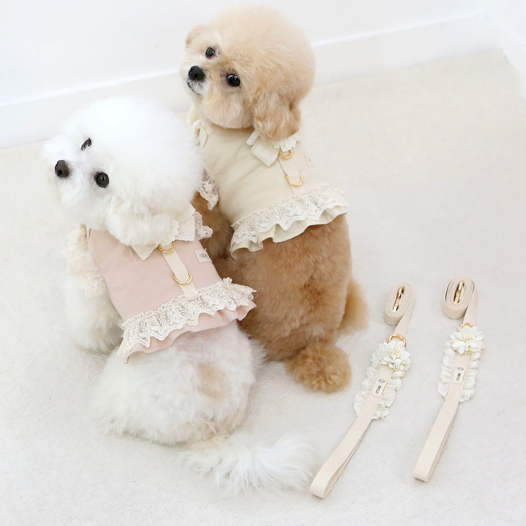 ※予約販売【ITS DOG】Flora Pure Cotton Leash