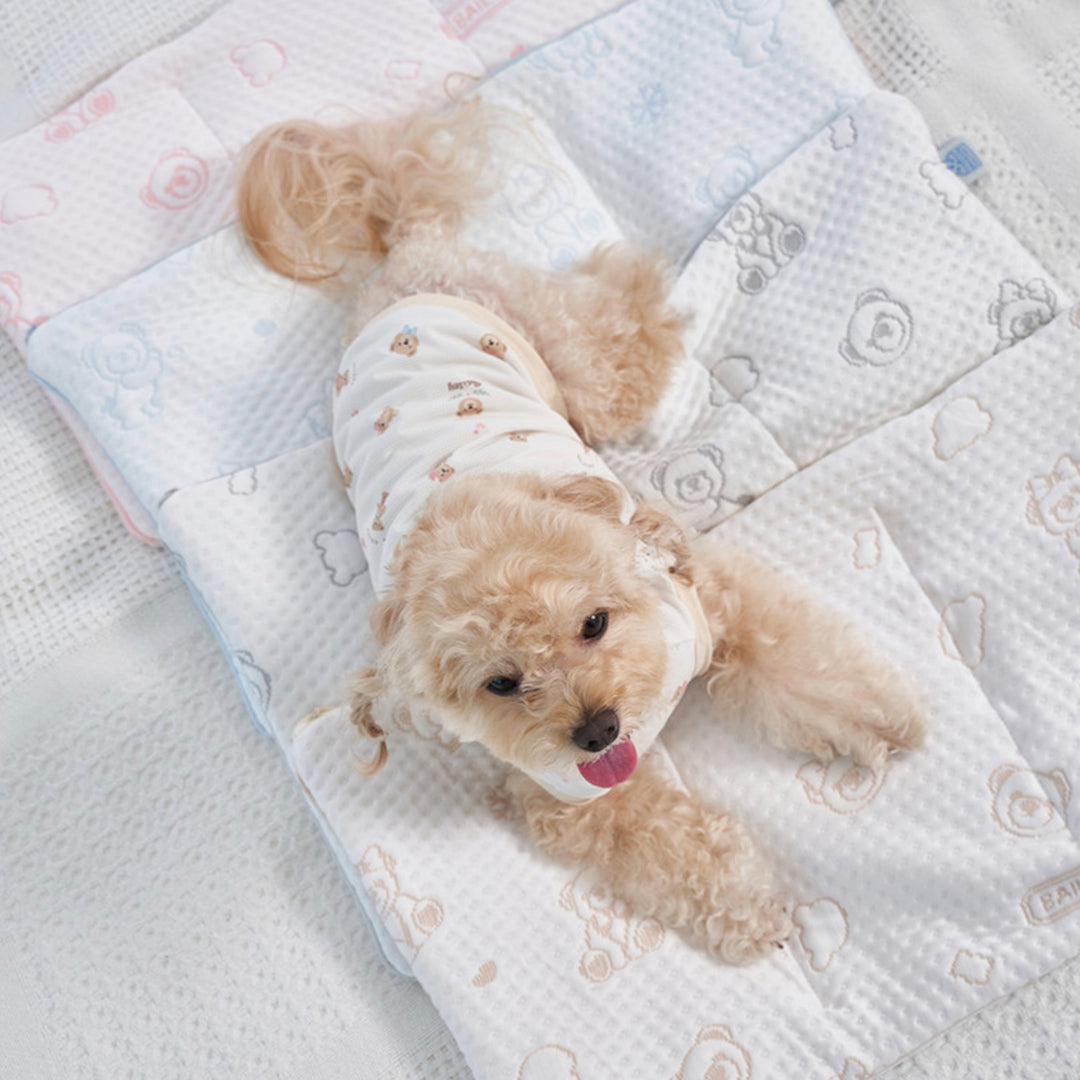 ※予約販売【Bailey】Snow Teddy Ice Pouch（4color）