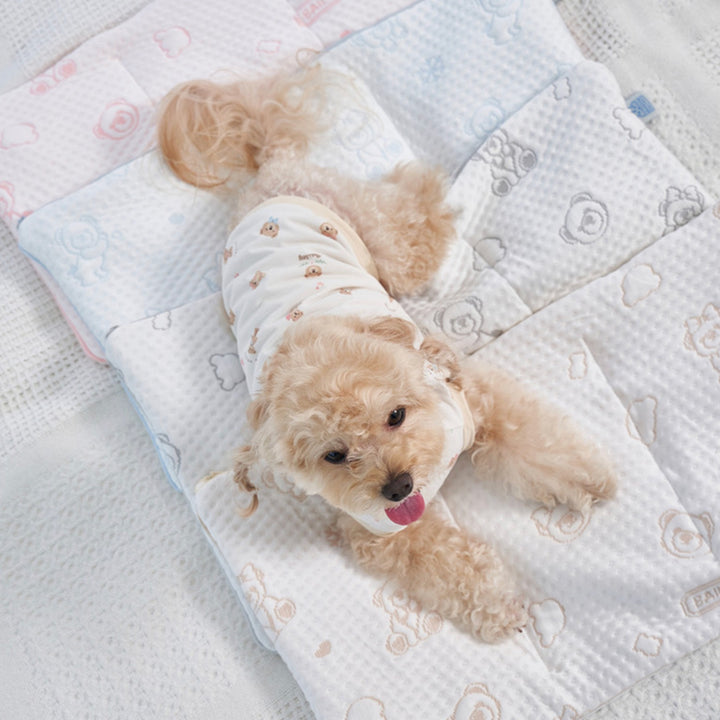 ※予約販売【Bailey】Snow Teddy Ice Pouch（4color）