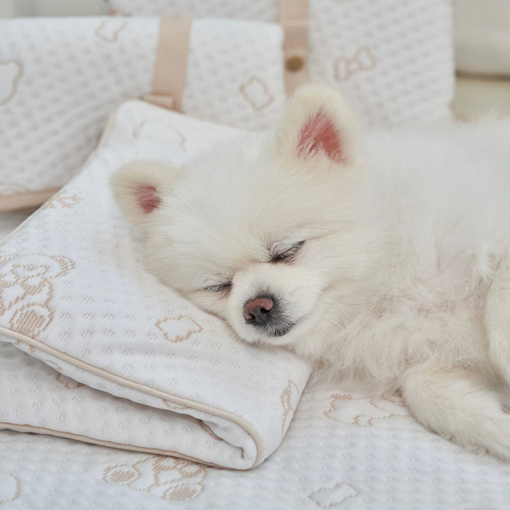 ※予約販売【Bailey】Snow Teddy Ice Pouch（4color）