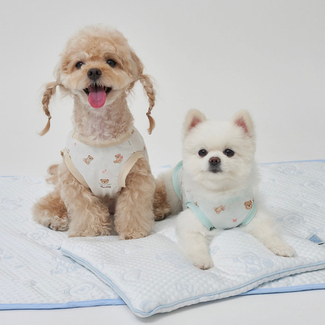 ※予約販売【Bailey】Snow Teddy Ice Pouch（4color）